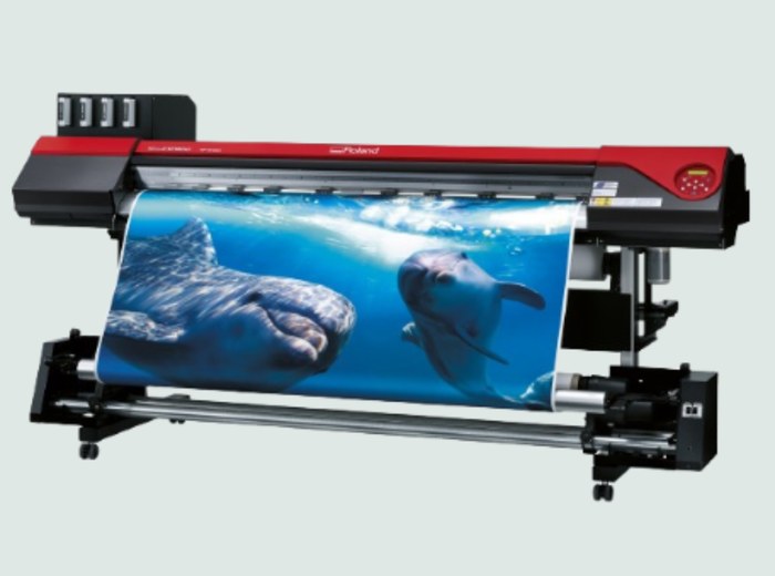 Digital and Large-Format Printing